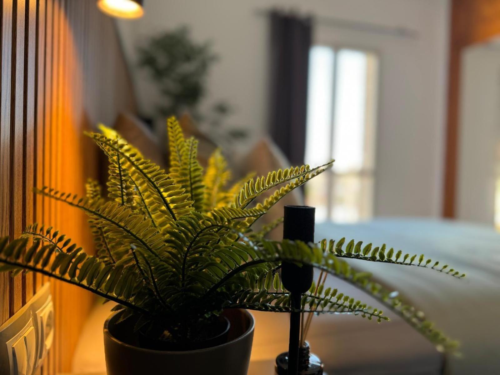 Green Oasis Paradise San Bartolomé Екстериор снимка
