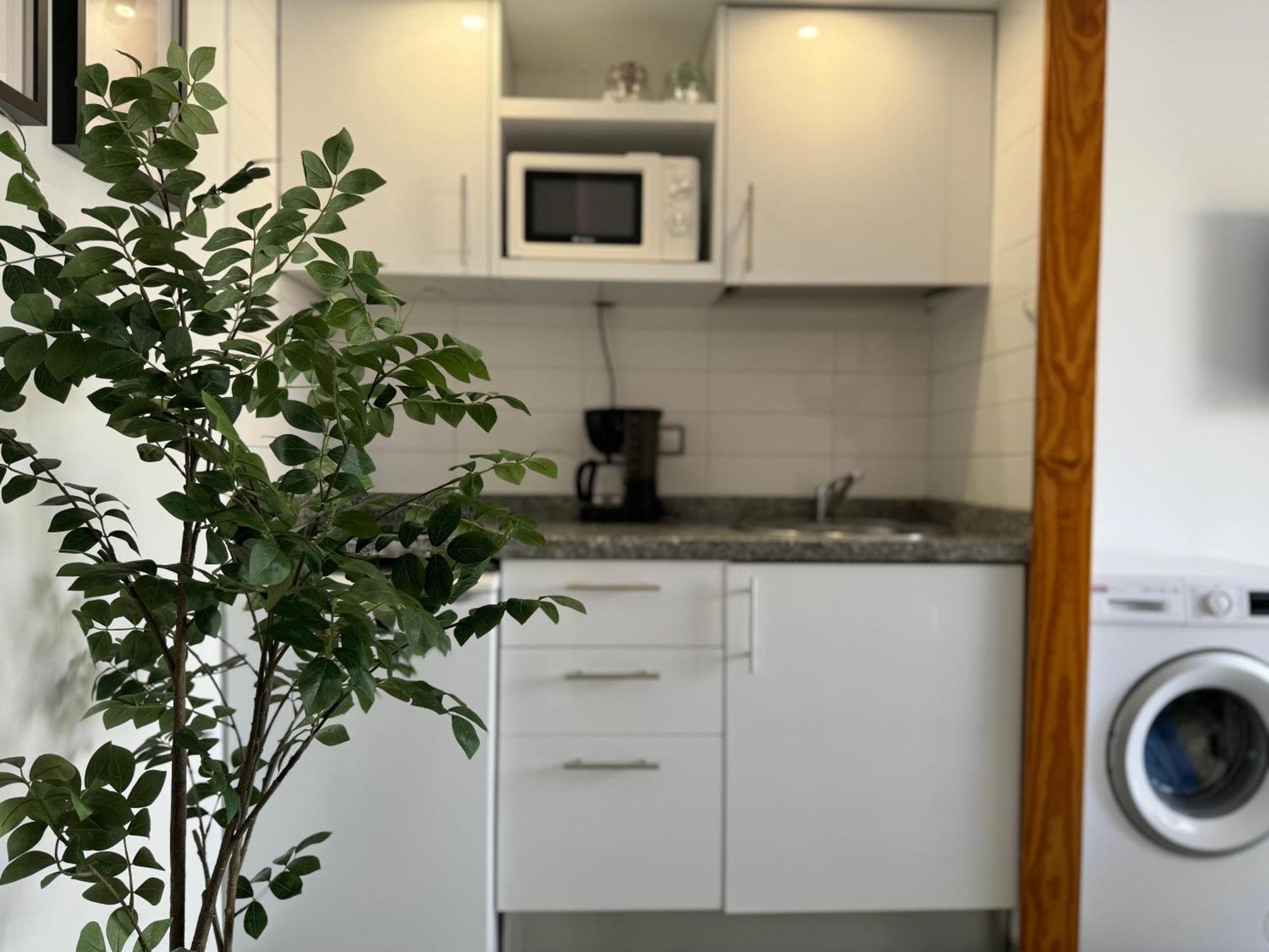 Green Oasis Paradise San Bartolomé Екстериор снимка